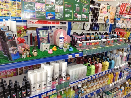 Bs job img 3 20251130235448617