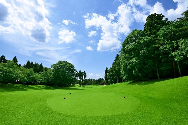 Bs job img 1 20251203112437605