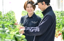 Bs job img 3 20251205170903204