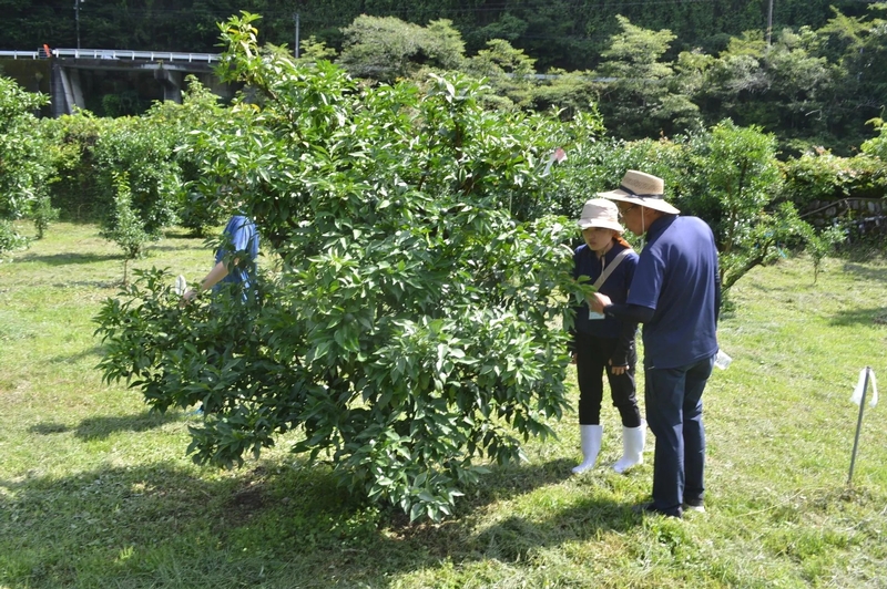 Bs job img 3 20251215215749960