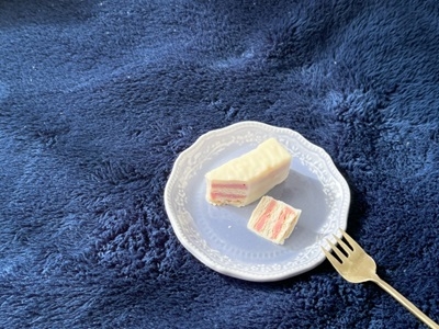 フィールドサーブジャパン 営業第1グループ(東京都中央区/銀座駅/その他(販売・サービス・アパレル系))_1