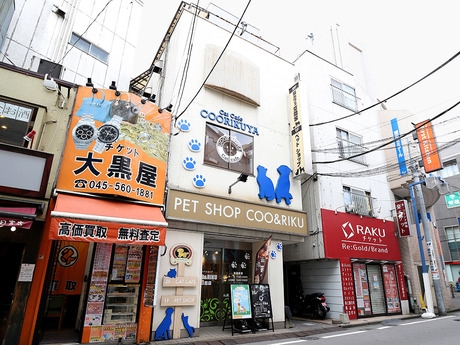 Bs job img 2 20251230093707220