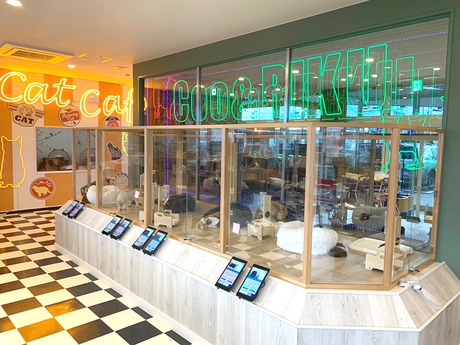 Bs job img 3 20251230093707346