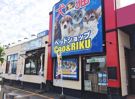 Bs job img 2 20251230093715715