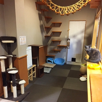 Bs job img 3 20251230093715715