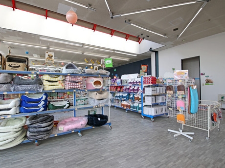 Bs job img 3 20251230093727720