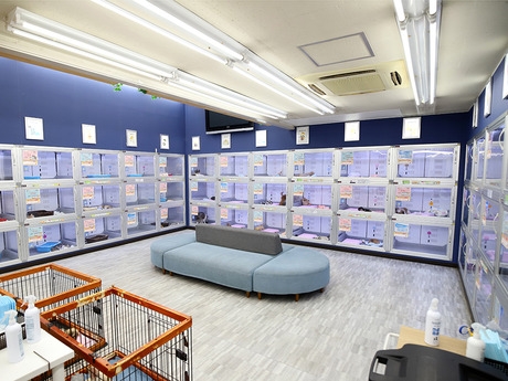 Bs job img 3 20251230093731866