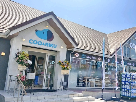 Bs job img 2 2025123009373224