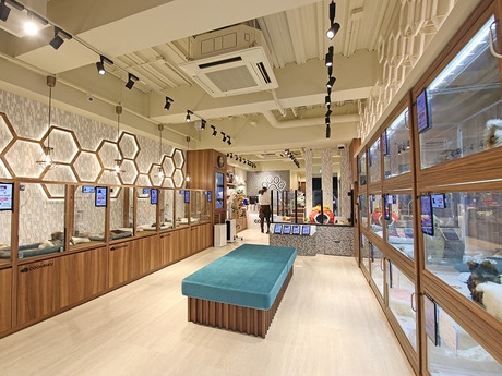 Bs job img 3 20251230093734283