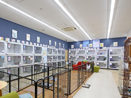 Bs job img 2 20251230093734697