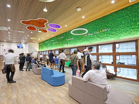 Bs job img 3 2025123009374327