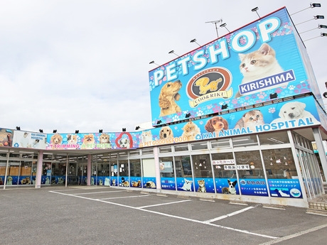 Bs job img 2 20251230093749410