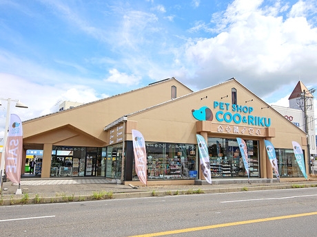 Bs job img 2 20251230093749427