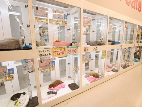 Bs job img 2 20251230093749907