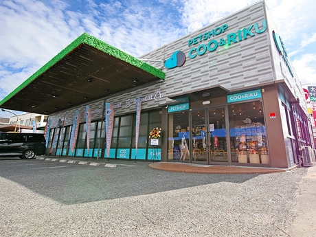 Bs job img 2 20251230093810925