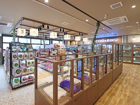 Bs job img 3 20251230093810925