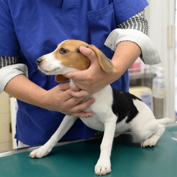 Bs job img 2 20251230112033714