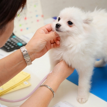 Bs job img 2 20251230112033733