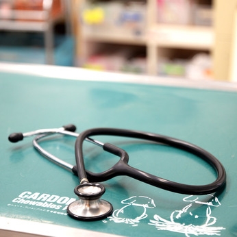 Bs job img 3 20251230112033764