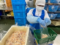 野菜のカット・加工・包装スタッフ