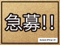 株式会社アイエーイー