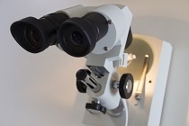 顕微鏡を使用した外観検査作業