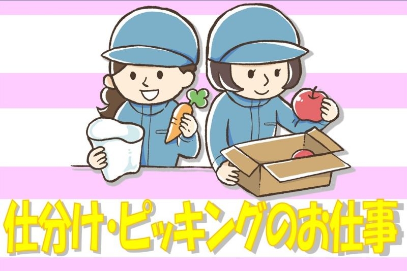 食品工場でのピッキング・箱詰め