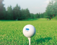 Bs job img 2 20260216135459860