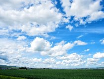 株式会社ドリームキャッチャー　札幌支店