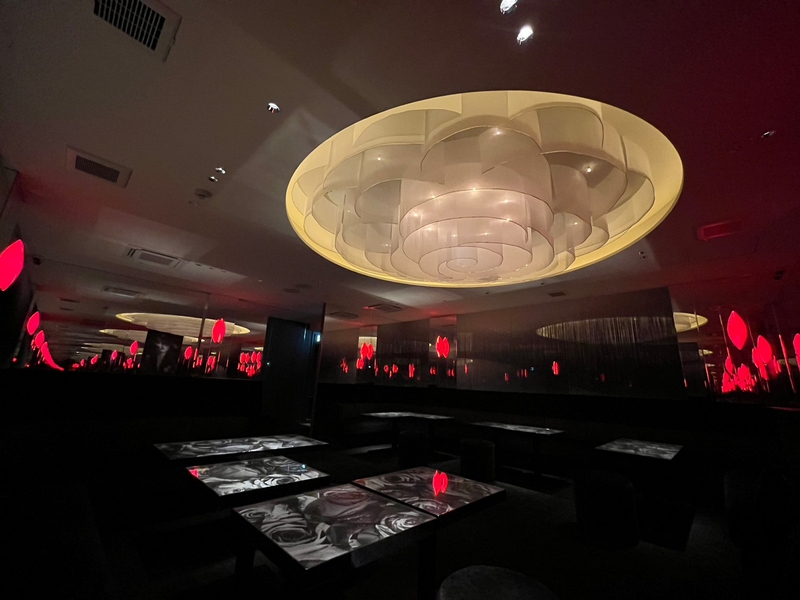 Lounge Cafe MaCherie(大阪府大阪市中央区/ＪＲ難波駅/その他(飲食・フード系))_1