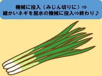 青ネギの自動加工機オペレーター