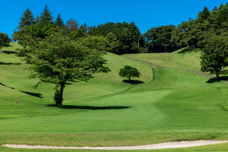 Bs job img 2 20260312143215302