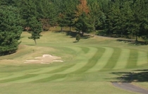 Bs job img 1 20260325162021602