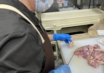 Bs job img 2 20260329105722169