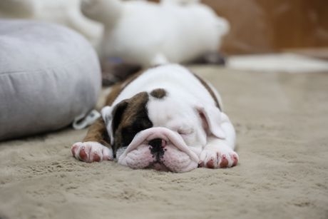 Bs job img 2 20260331124935696