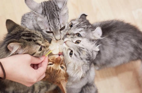 Bs job img 3 20260331124935710