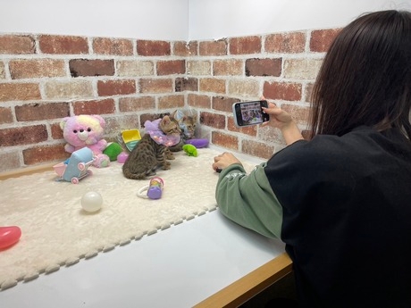 Bs job img 2 20260331124936504