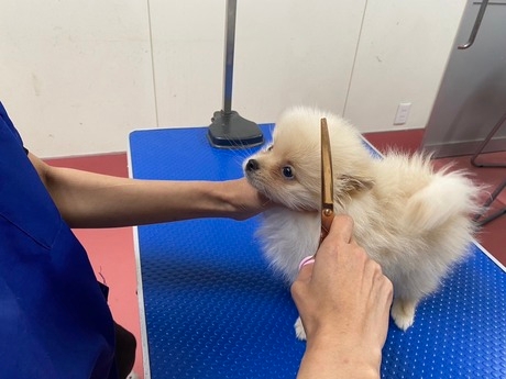 Bs job img 2 20260331124936542