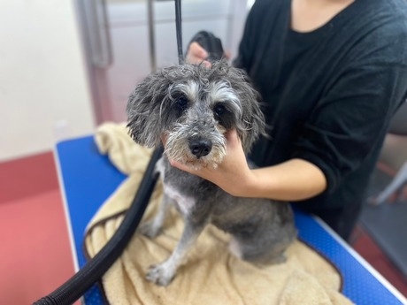 Bs job img 3 20260331124936542