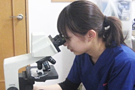 Bs job img 3 20260331124936761