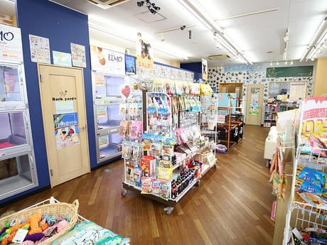 Bs job img 3 2026040106240843