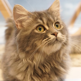 Bs job img 2 20260414141541173