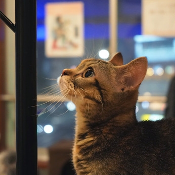 Bs job img 3 20260414141541282