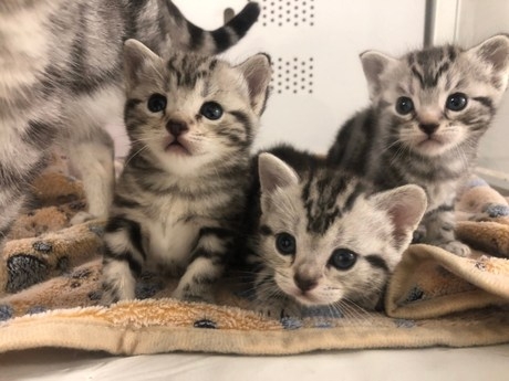 Bs job img 3 20260414141542622