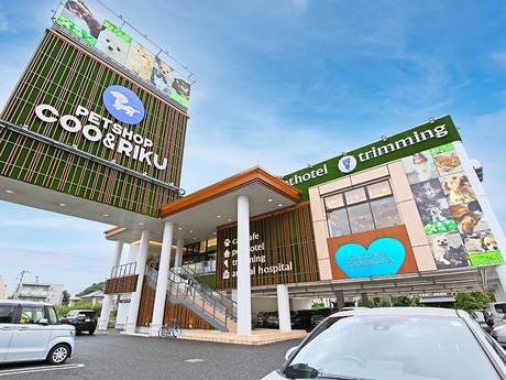 Bs job img 2 20260414141542924