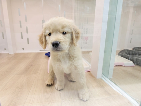 Bs job img 2 20260414141542983