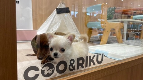 Bs job img 3 20260414141542998