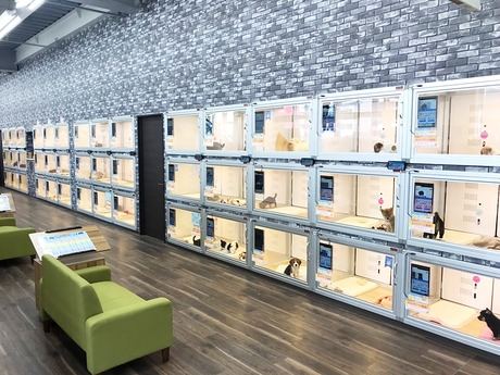 Bs job img 3 2026041414154315