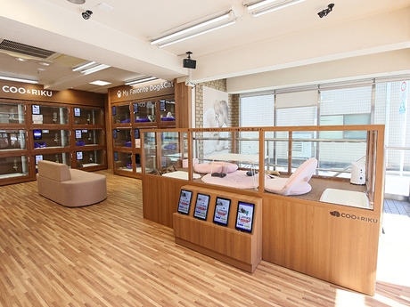 Bs job img 3 2026041414154565