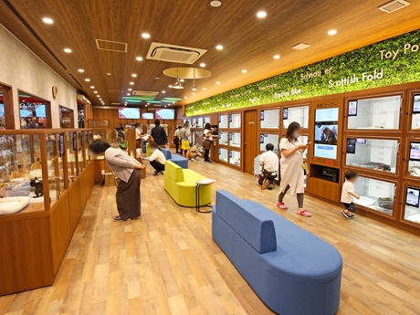 Bs job img 3 20260414141548528